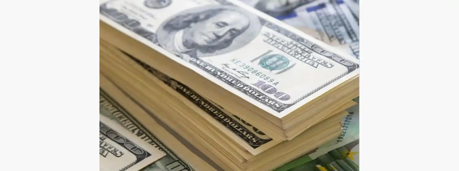 El dólar alcanzó otro precio récord y llega a los $31
