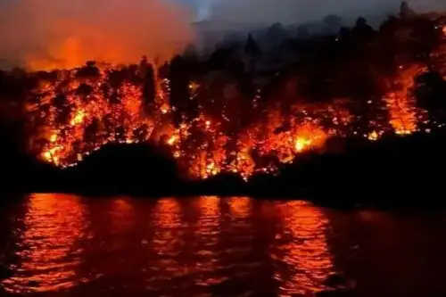 El fuego alcanzó casi las 5.200 hectáreas.