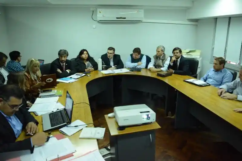 Proponen que sea ley el protocolo interinstitucional de actuación en casos de abuso sexual infantil