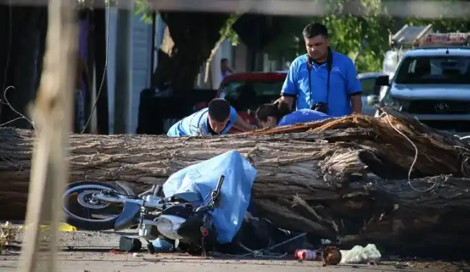 Circulaban en moto por San Juan y cayó un árbol sobre ellos: uno murió y el otro sufrió lesiones graves
