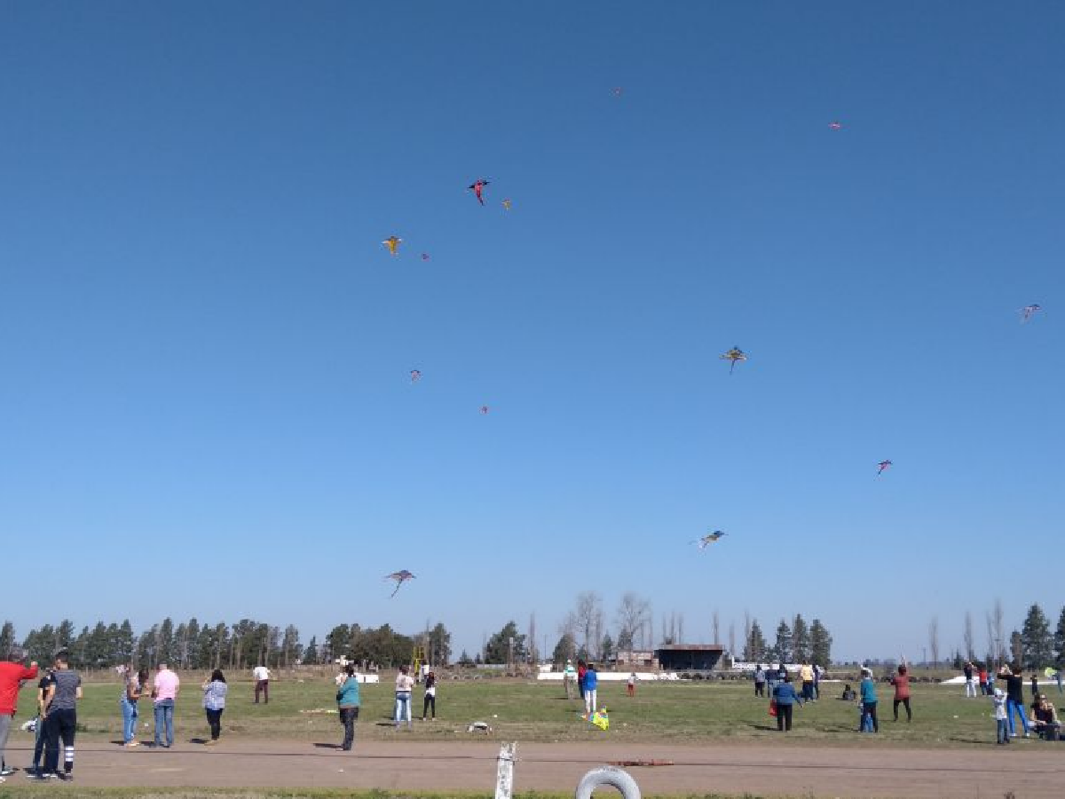 9° barrileteada en María Juana para celebrar el día del niño