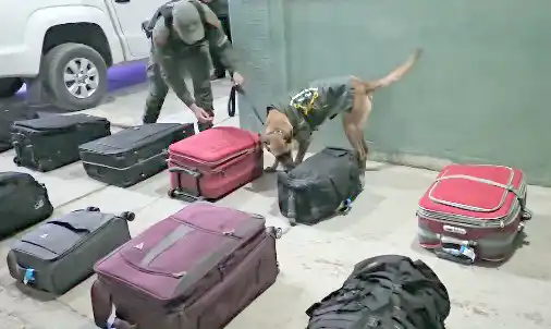 La droga que descubrió “Gael” cuesta cerca de $ 20 millones