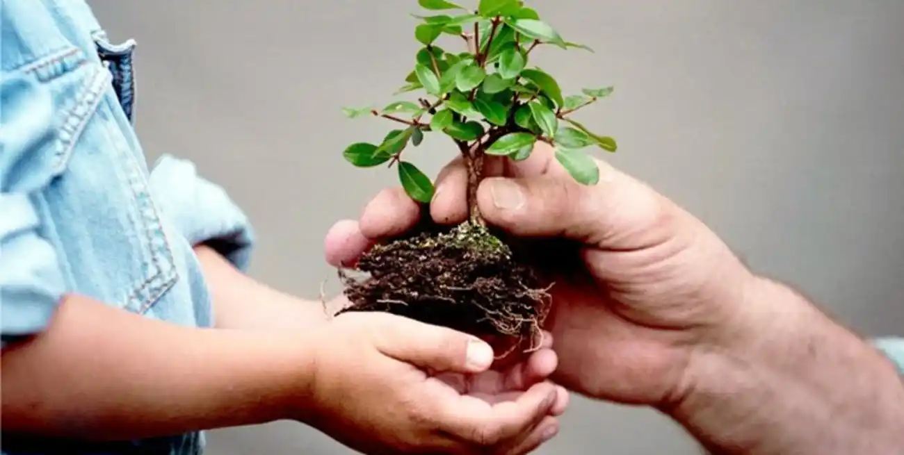 No hace falta hacer todo perfecto: pequeñas acciones diarias, sostenidas en el tiempo, pueden tener un impacto enorme. Como señalan desde la ONU, cada gesto cuenta frente a la crisis climática y ambiental.