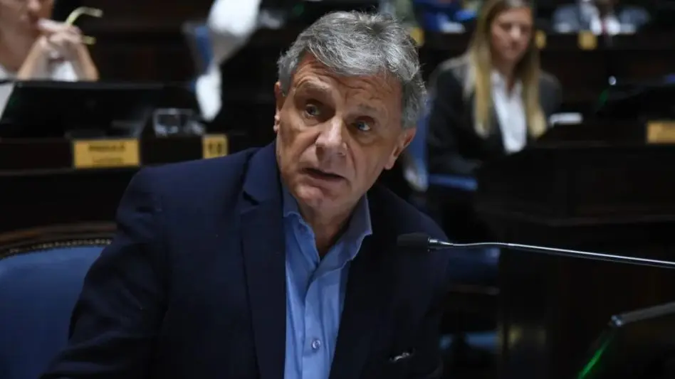 Pulti: "El DNU viola la Constitución y Espert, la ley"