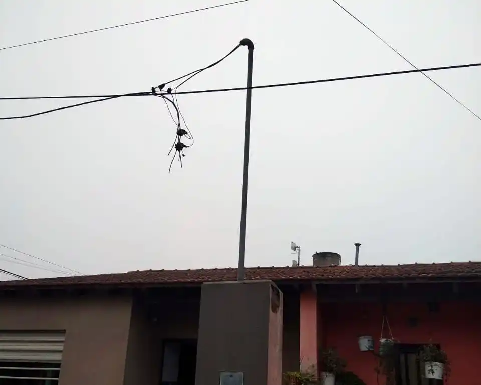 "Desde el primero de enero hasta ahora rondamos en los 15 mil metros. 15 kilómetros de cable"", expresó Fabricio Stampone.
