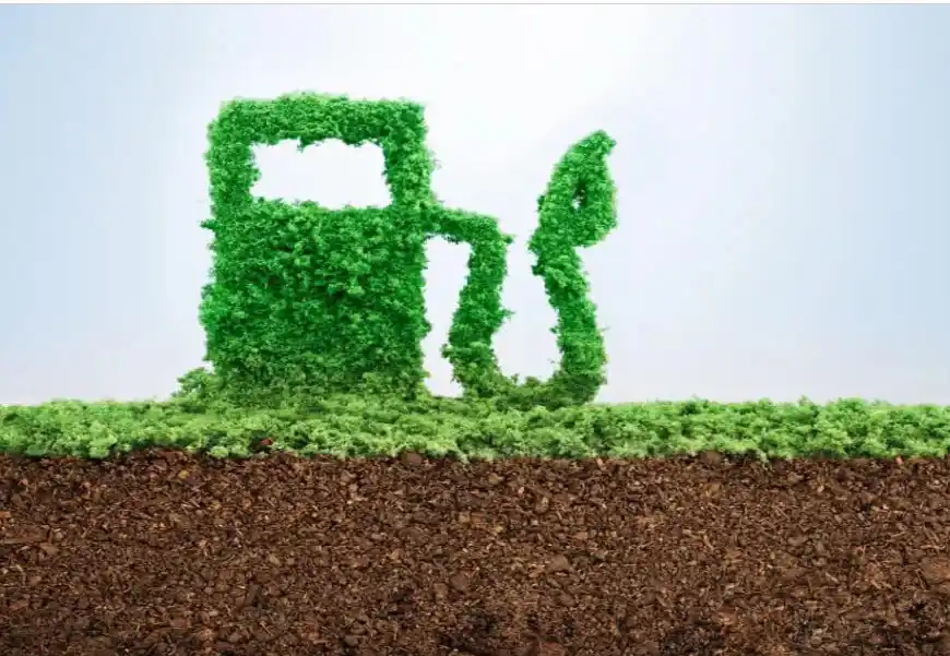 Biocombustibles: la estrategia económica para el agro en 2024