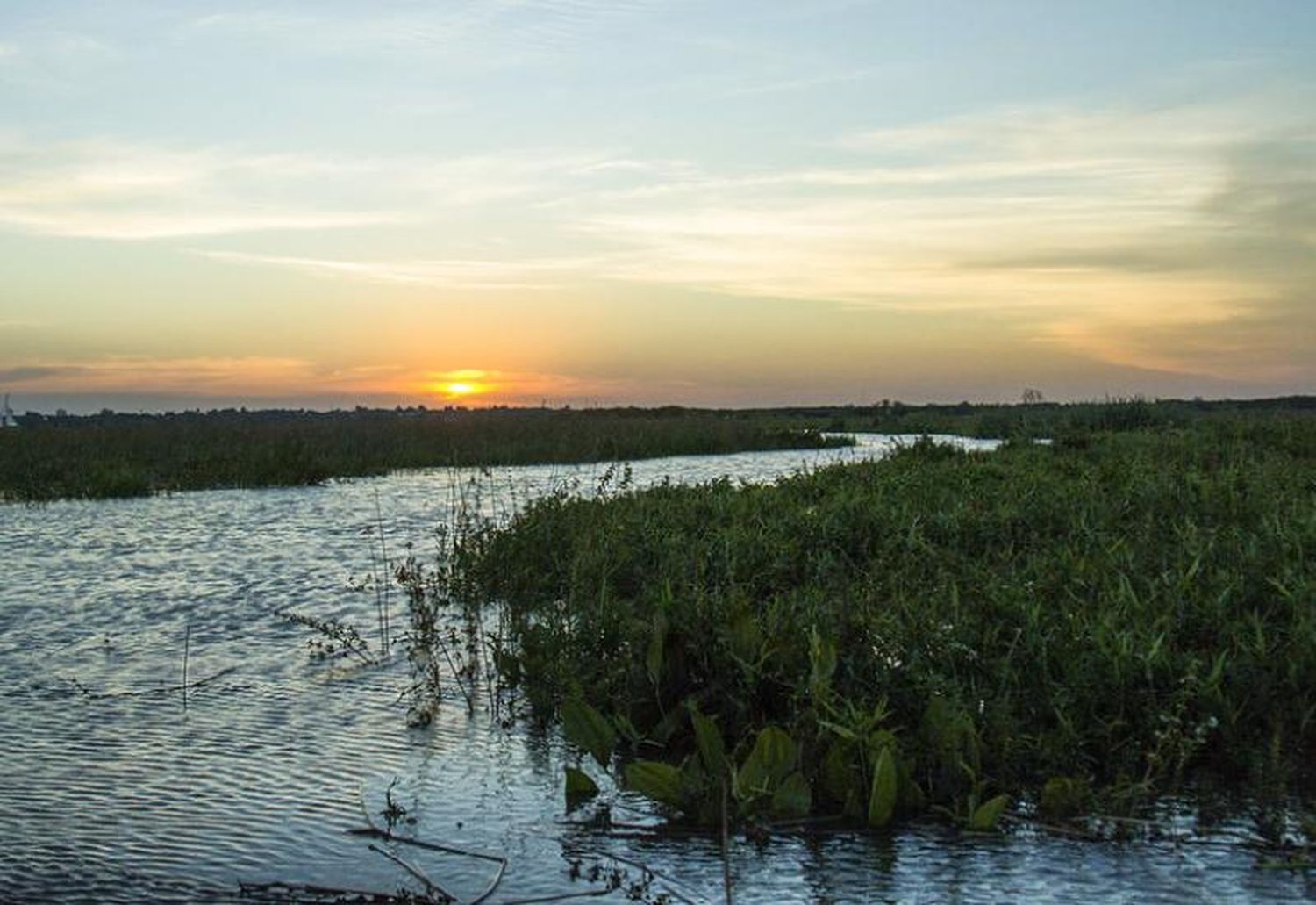 San Isidro lanzó un concurso para elegir el nombre de las tres Islas del Delta