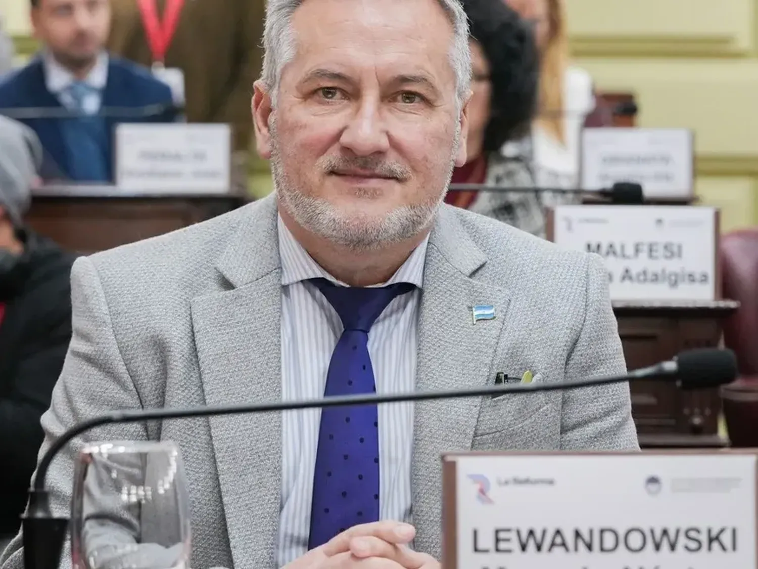 Marcelo Lewandowski, senador nacional y convencional reformador.