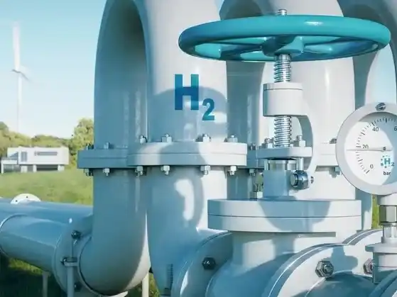 Legisladores nacionales e intendentes del PJ activan una web con información pública de la causa judicial