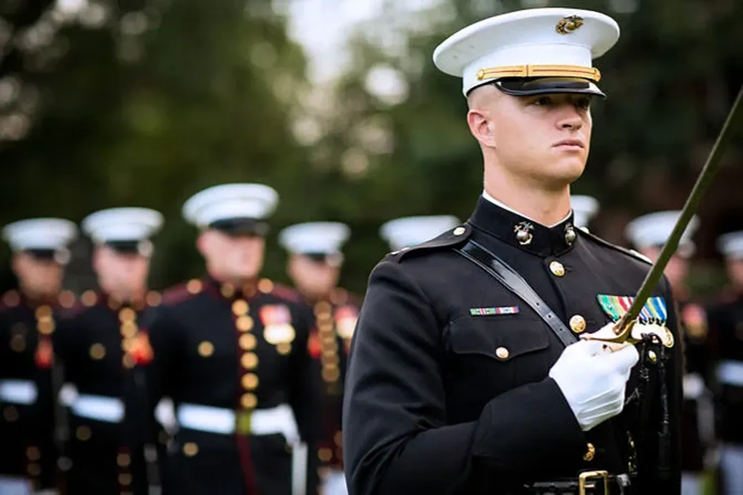 A detailed look at the ranks and roles within the U.S. military branches.