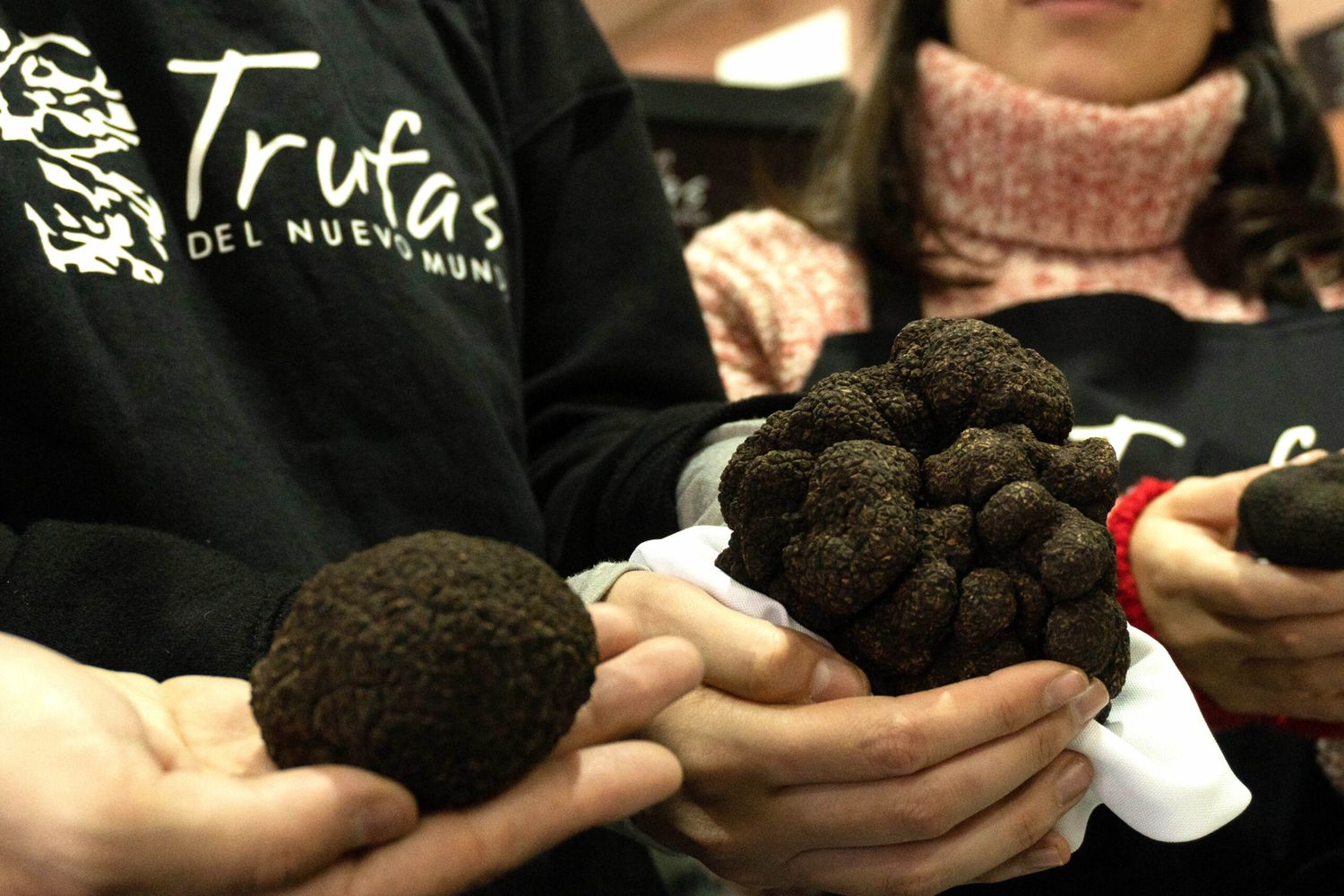 La Fiesta de la Trufa Negra Argentina es en Saavedra