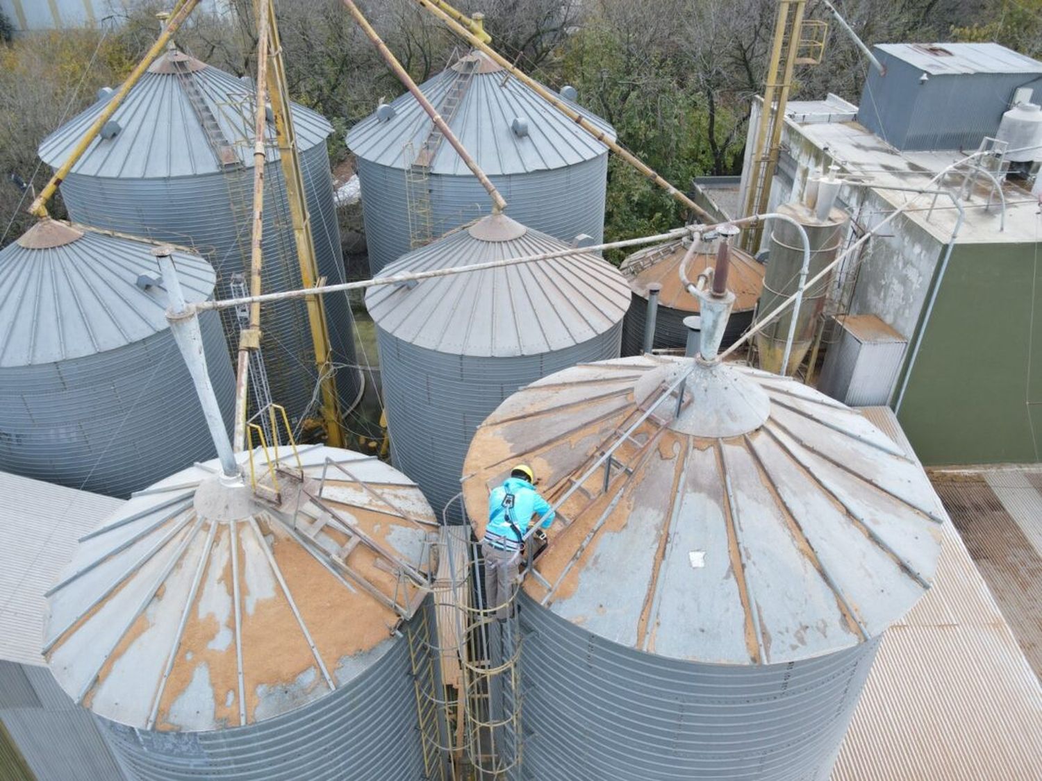 Arba detectó 700 silos sin declarar en campos bonaerenses