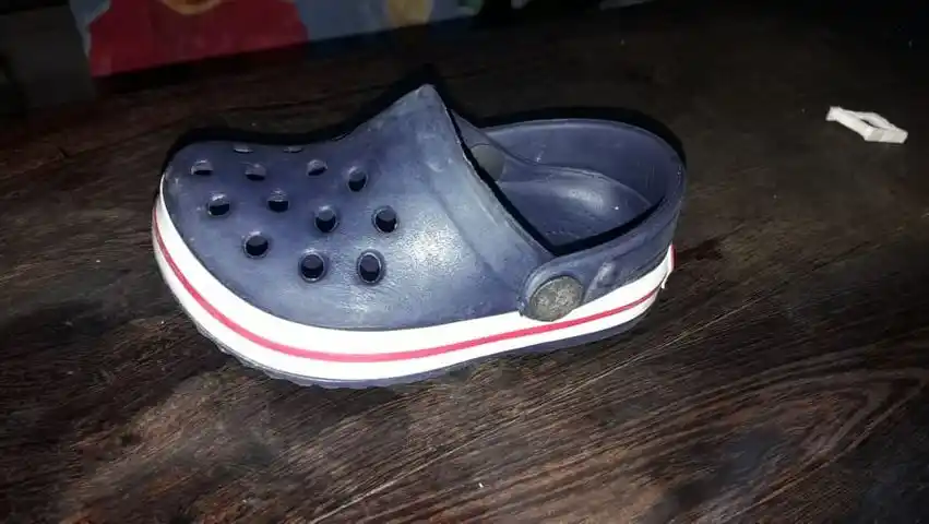 Buscan croc perdida