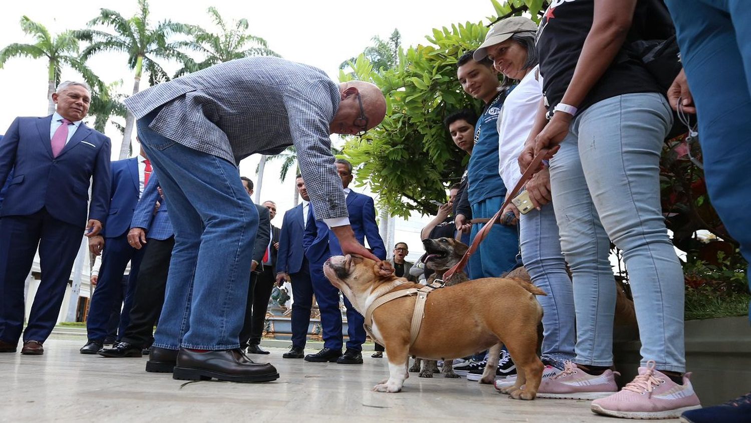 POR UN TRATO DIGNO: AN aprueba ley a favor de los animales de compañía (+Detalles)