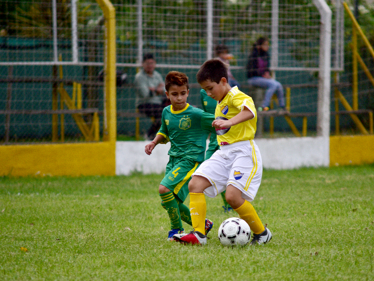 Tarzanito organiza torneo