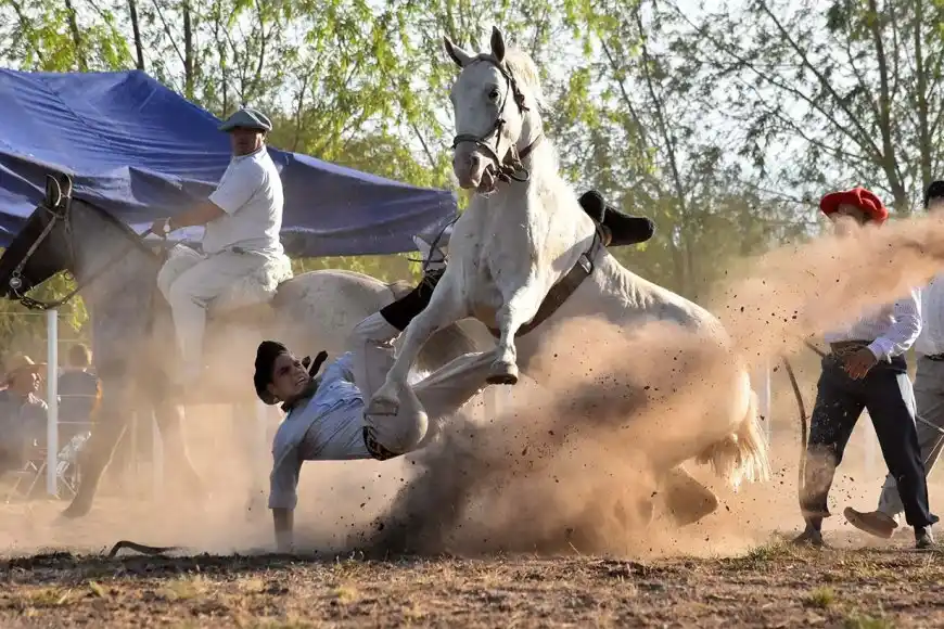Elevan a juicio una causa por maltrato animal durante una jineteada