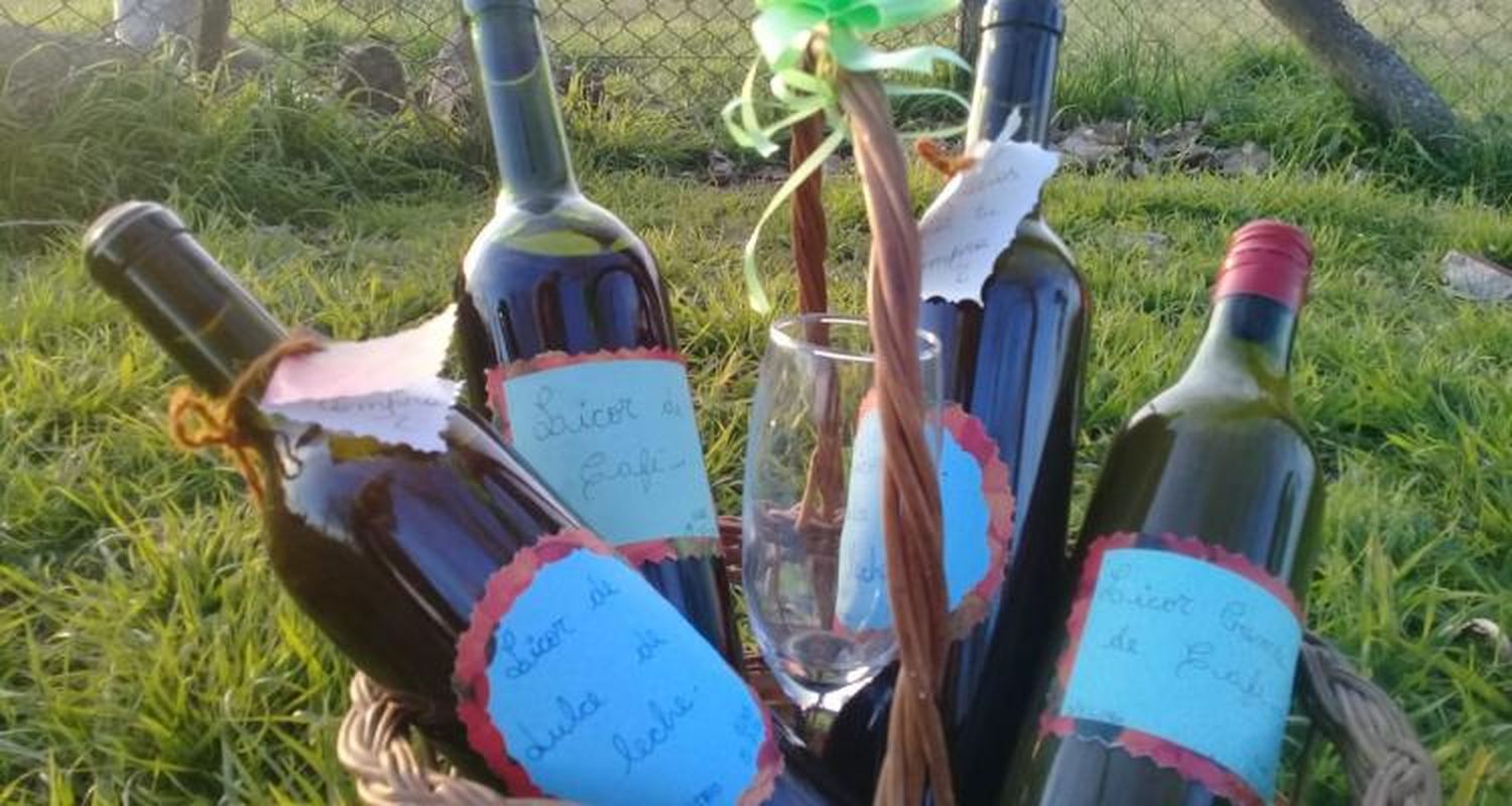 Microemprendimientos en cuarentena: los licores de “Chuni” desde paraje Basso