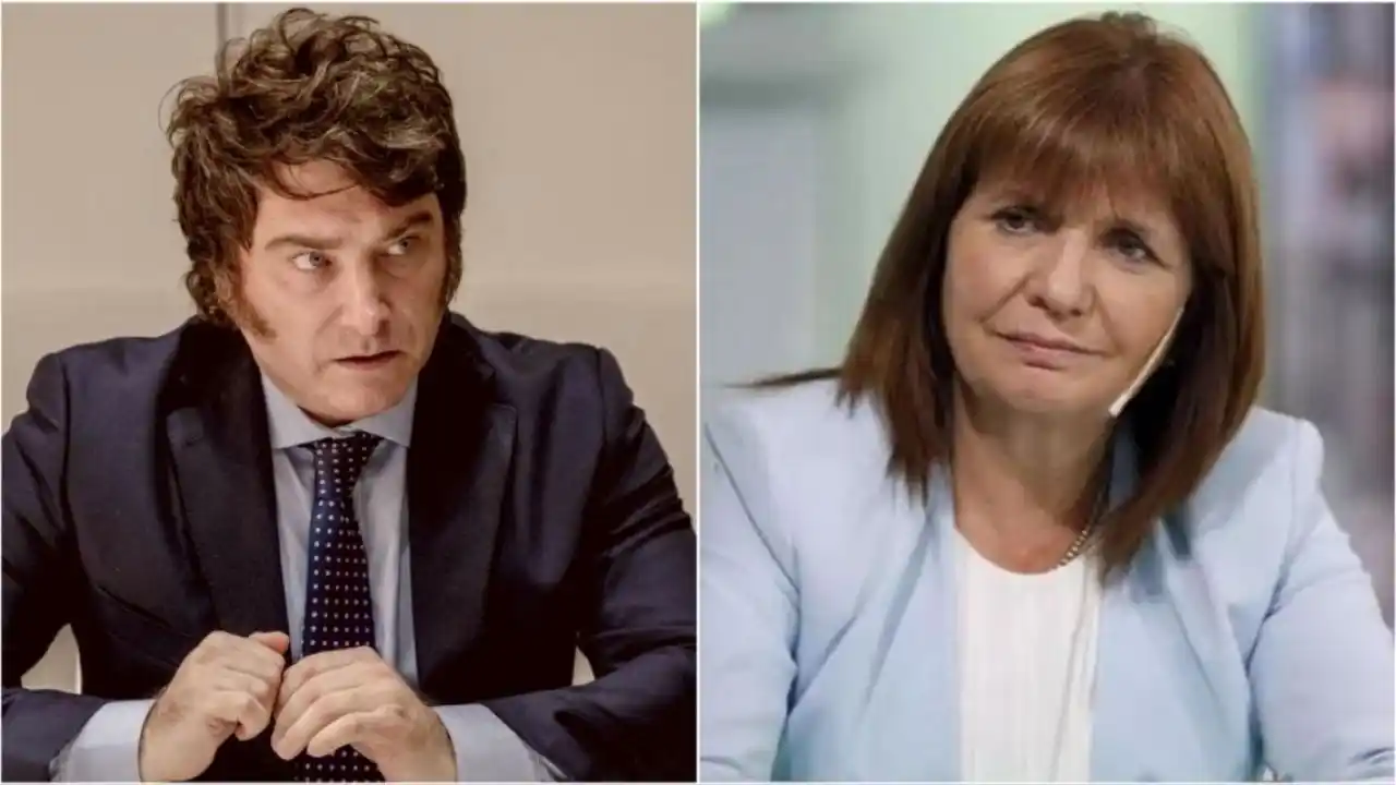 Bullrich cuestionó duro a Milei.