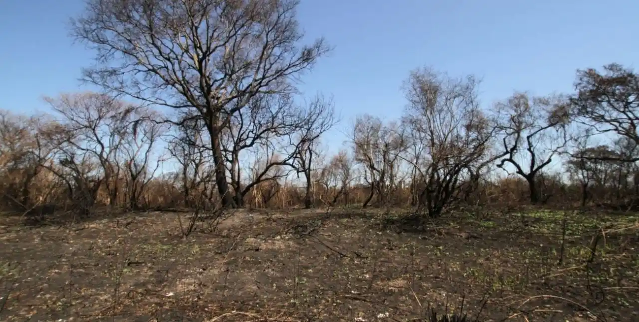 Diputados continúa trabajando en la Ley de Humedales