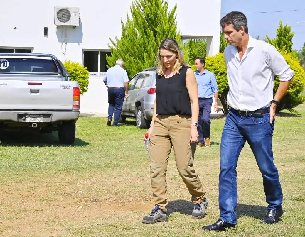 Impulsan el desarrollo de la cadena foresto industrial en la región