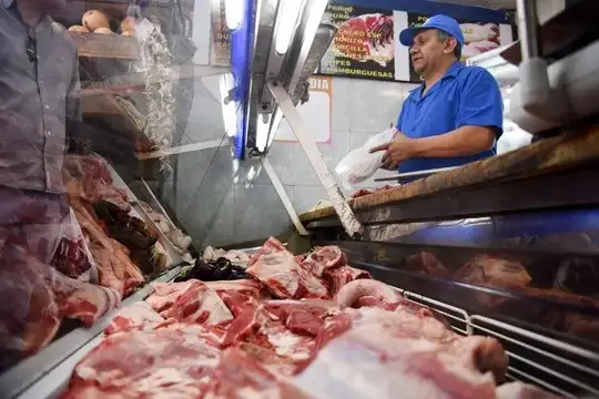 Un medio alemán publicó un artículo titulado "Carnicería argentina vende carne de burro ante la subida de la vacuna".