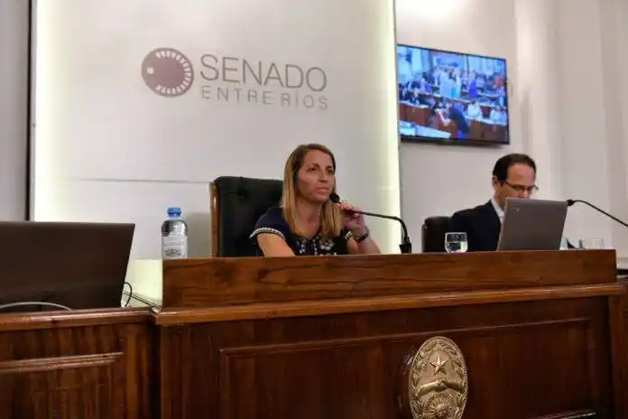 El Senado adhirió al decreto  de Bordet para la nueva etapa de aislamiento social