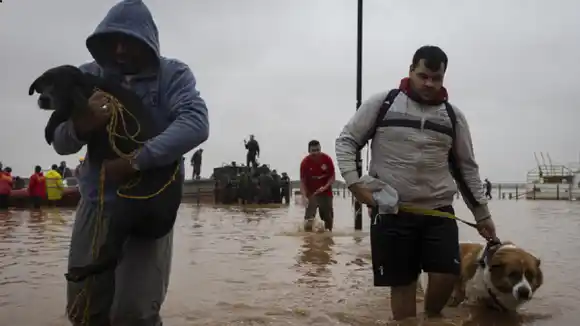 ¡TODA VIDA CUENTA! Rescatistas en Brasil lo dan todo para salvar a las mascotas de las inundaciones