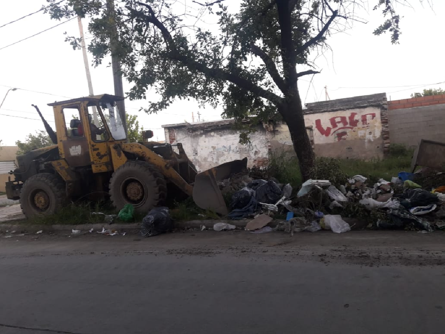 Cada mes el municipio debe limpiar unos 240 minibasurales    