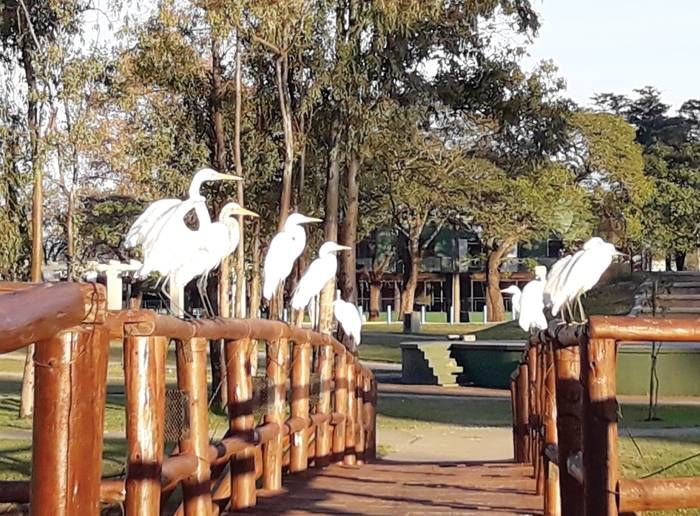 27 de septiembre:  Día internacional  del turismo