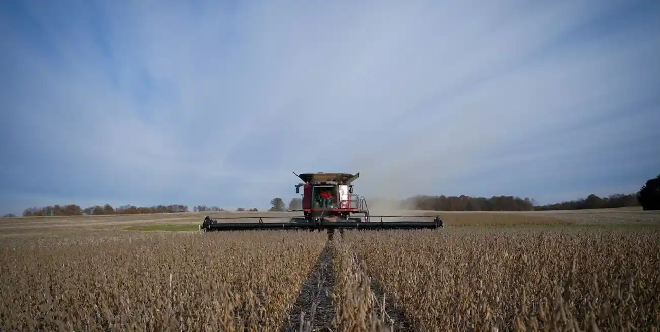 La Bolsa rosarina estimó un crecimiento del 70% interanual tras la "catastrofica sequía".
