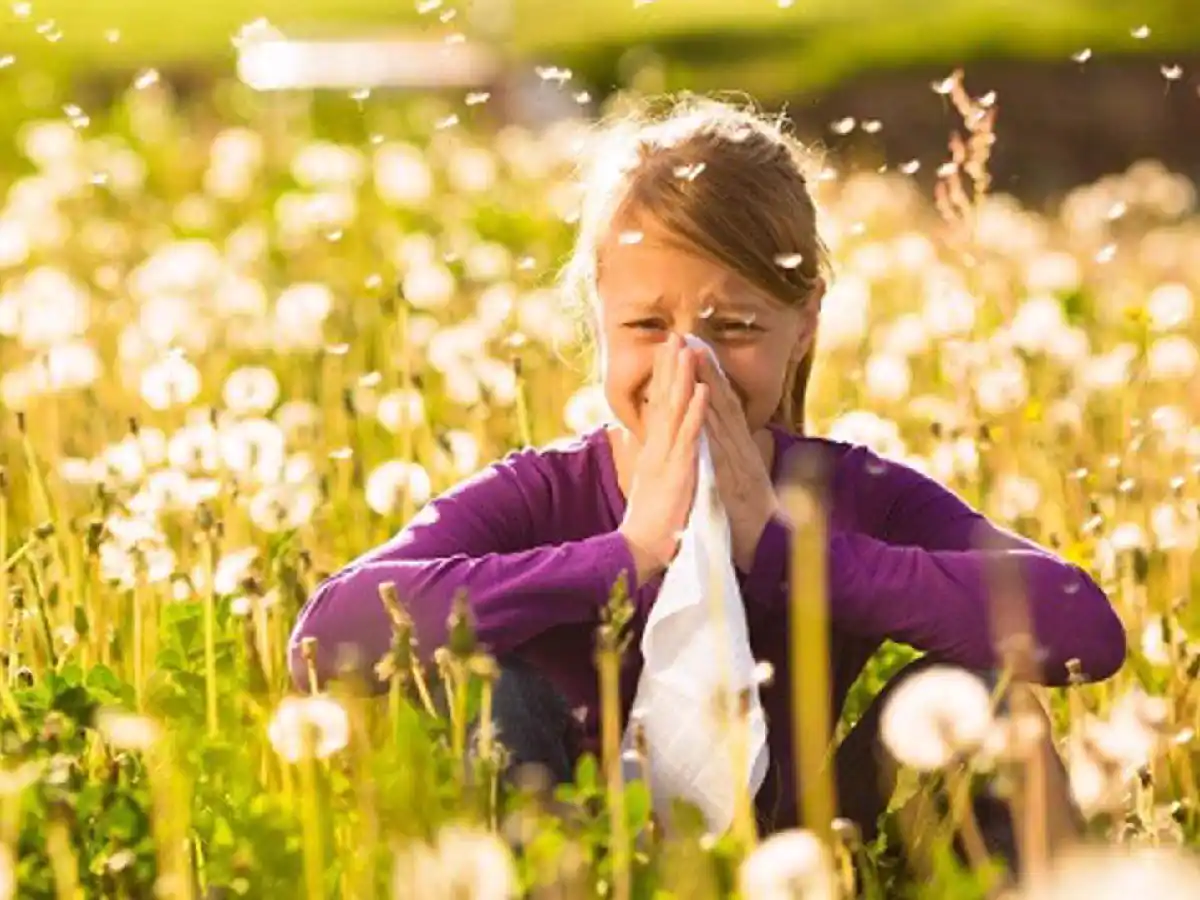 Temporada de alergias 