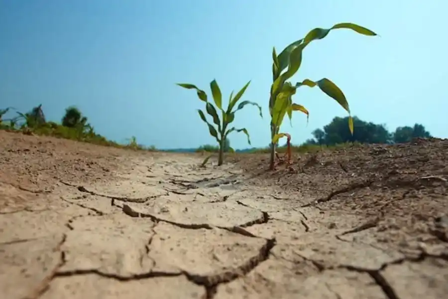 Sequía en Santa Fe: piden que se declare a la provincia en estado de "emergencia y desastre"
