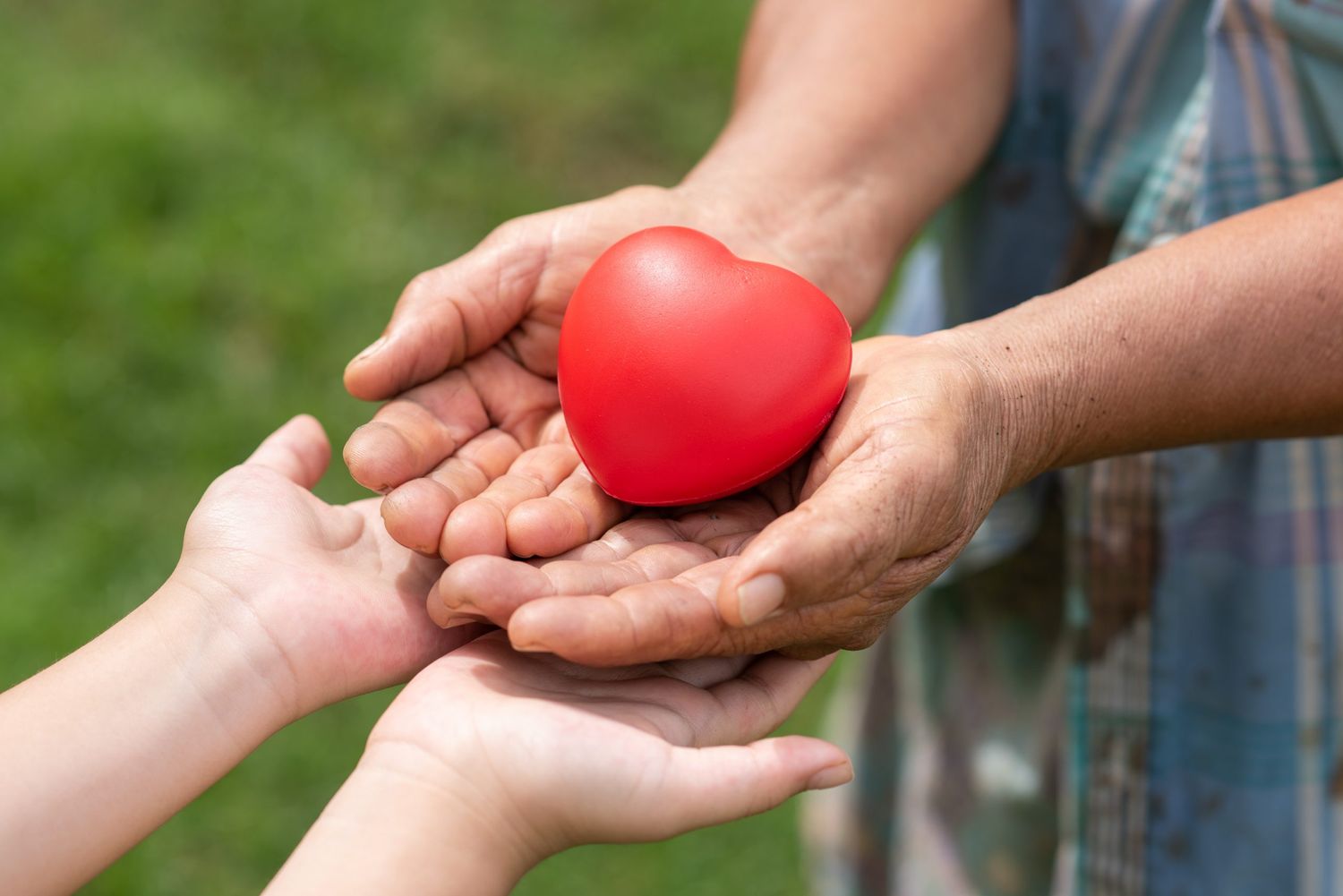 30 de mayo: Día Nacional de la Donación de Órganos