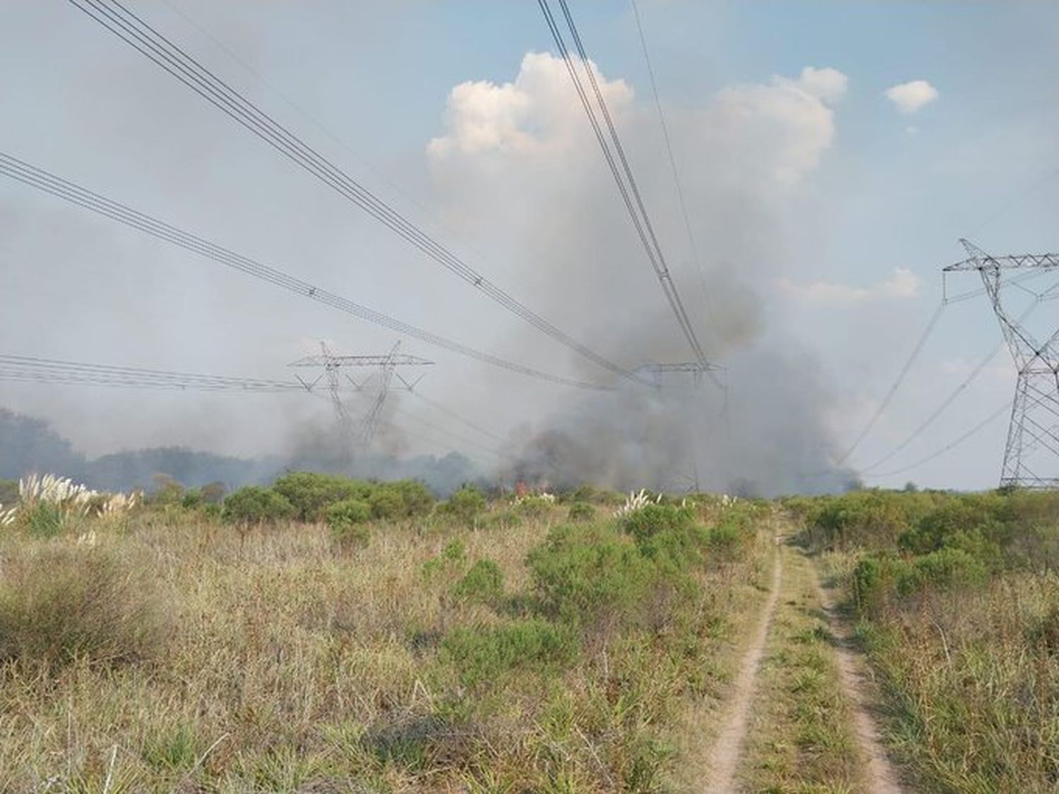 Por un aparente motivo de incendio en un campo que afectó las líneas de alta tensión.