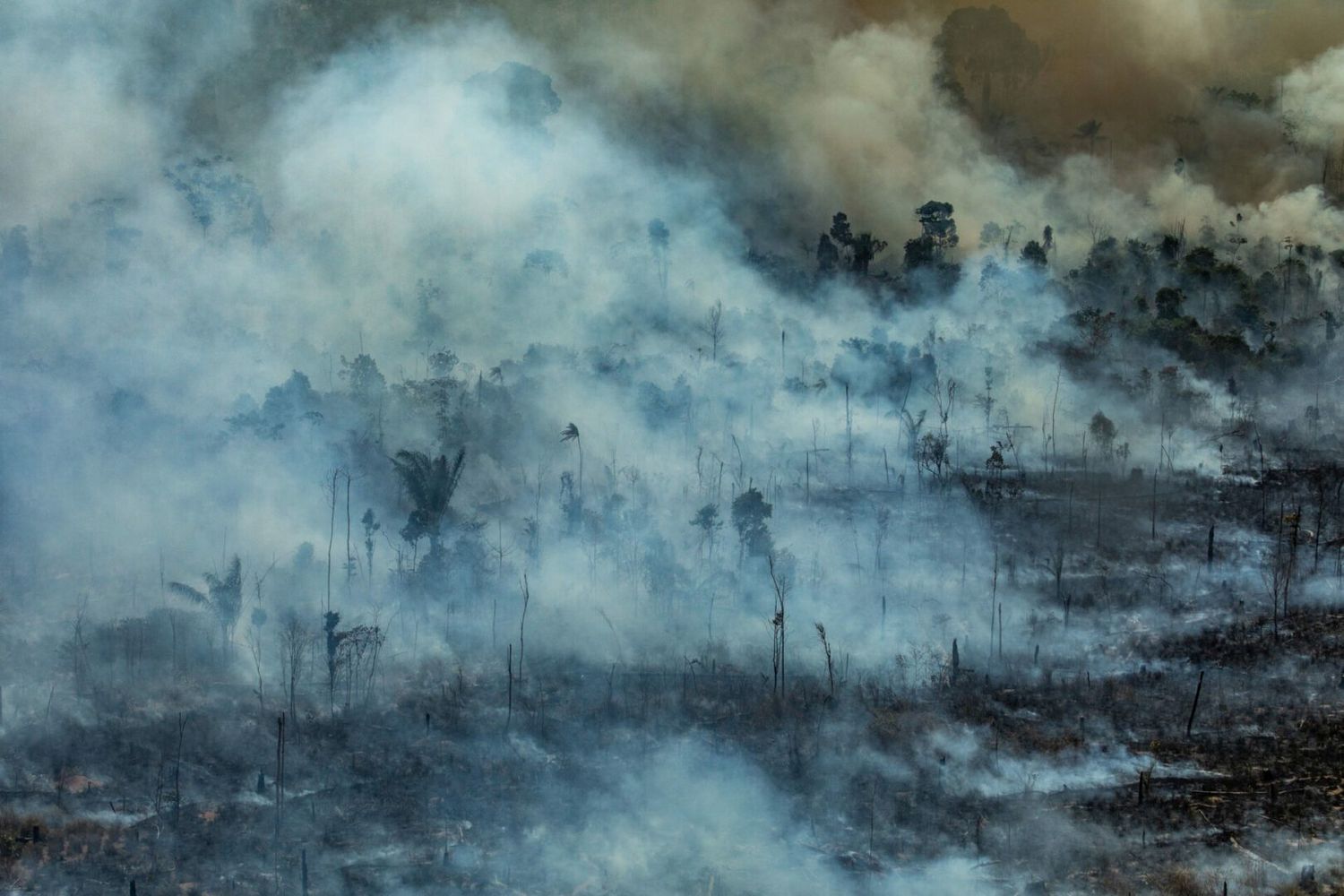 «Terrorismo ecológico»: indígenas incendian una reserva forestal