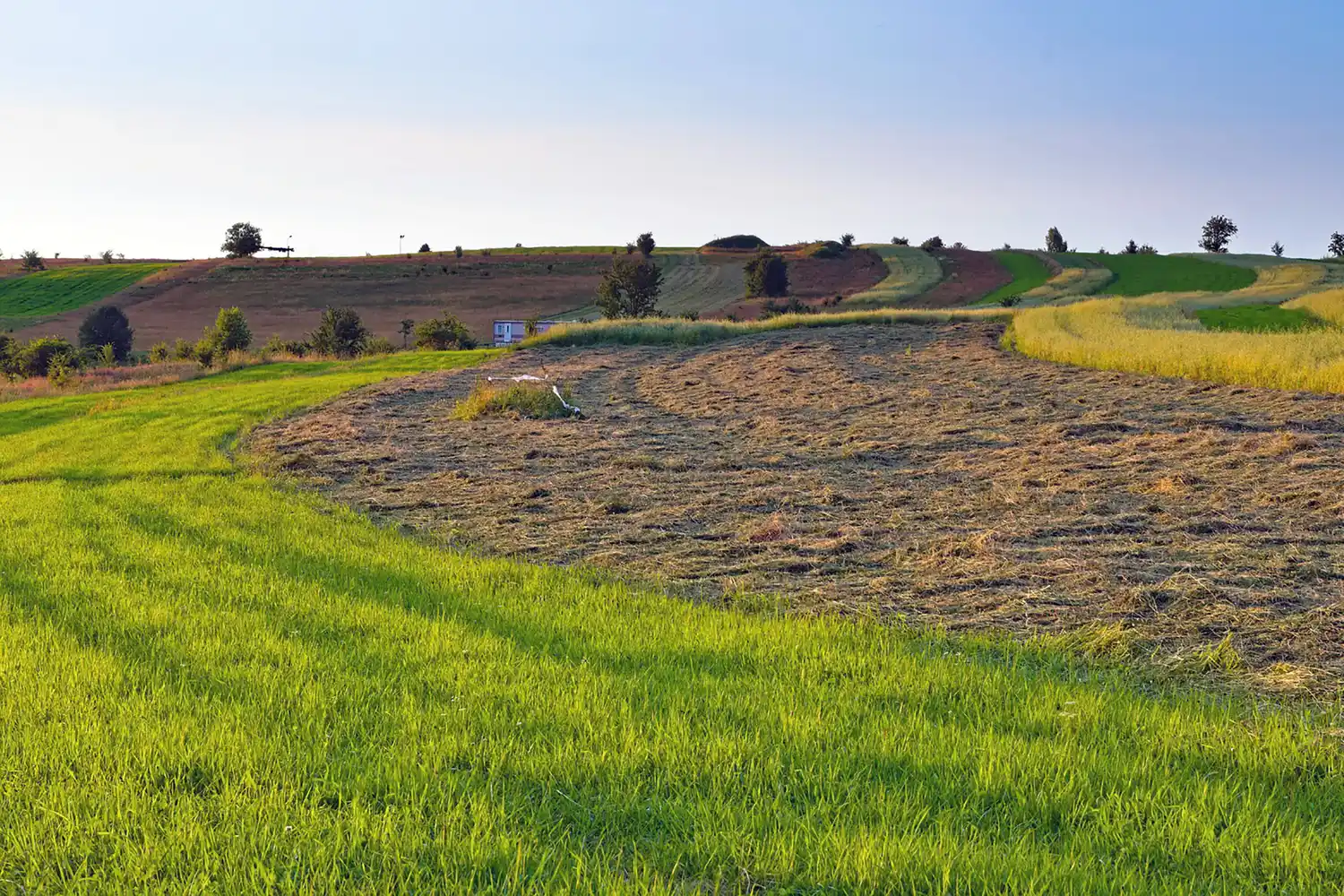 Este viernes se realiza en Crespo una jornada sobre de la Conservación del Suelo