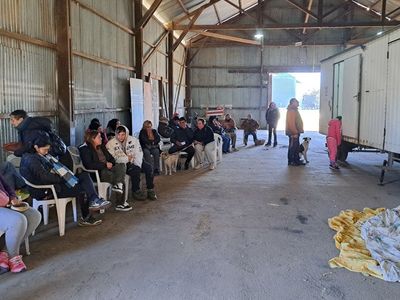 Nueva jornada gratuita de castraciones en Villa Cañás