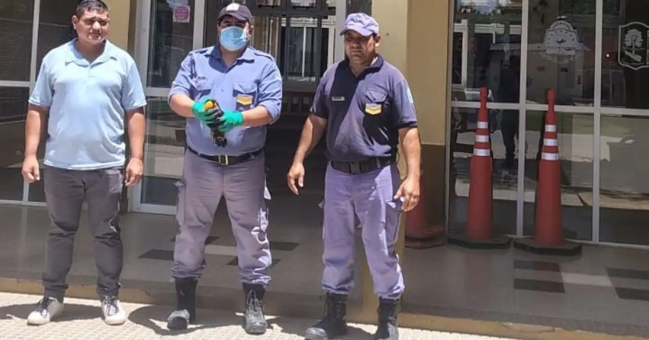 General Güemes: un tucán fue rescatado tras aparecer herido en una vivienda