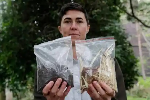 Nueva York autoriza el compostaje de cuerpos tras la muerte