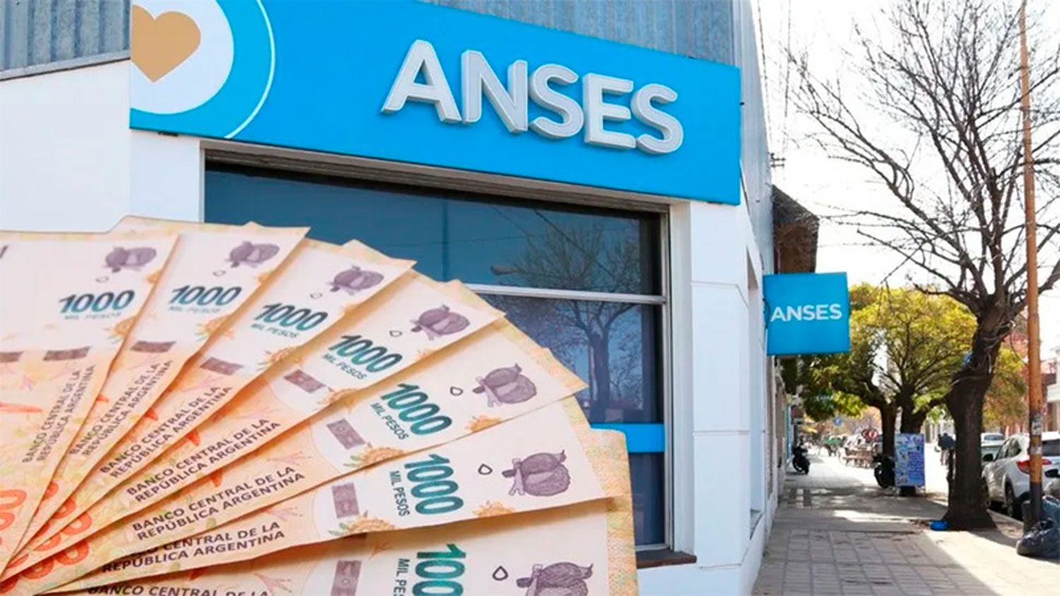 ANSES BONO