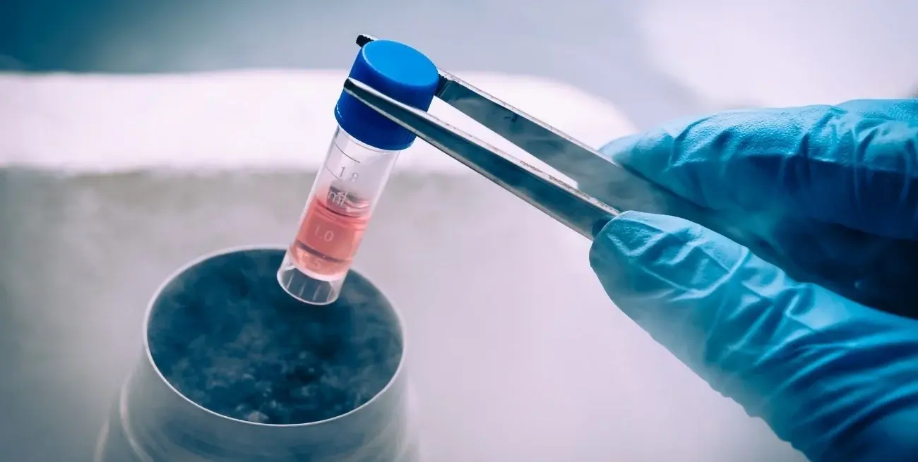 Técnica que permite generar células capaces de producir insulina