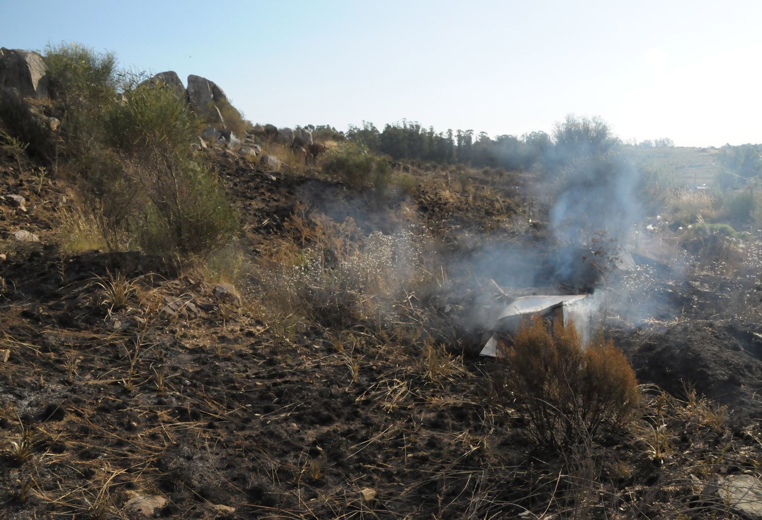 “Mayormente los fuegos en campos son en la cebada y en los cerros por negligencia”, contó el Jefe de Bomberos
