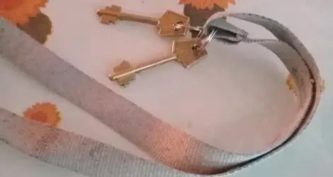 Llaves encontradas