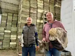 Los “Caza Enjambres”: el grupo de apicultores de Tandil que brinda ayuda ante la aparición de abejas