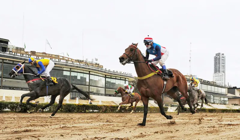 Sábado 20: Actividad Hipódromo de Palermo