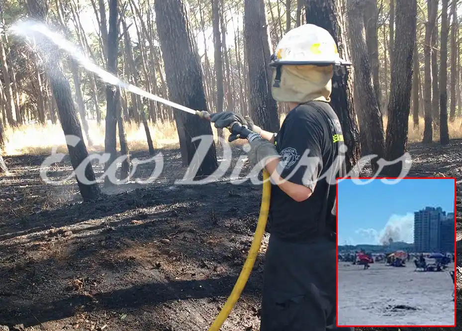 No llueve y ya hubo más de 650 llamados a bomberos