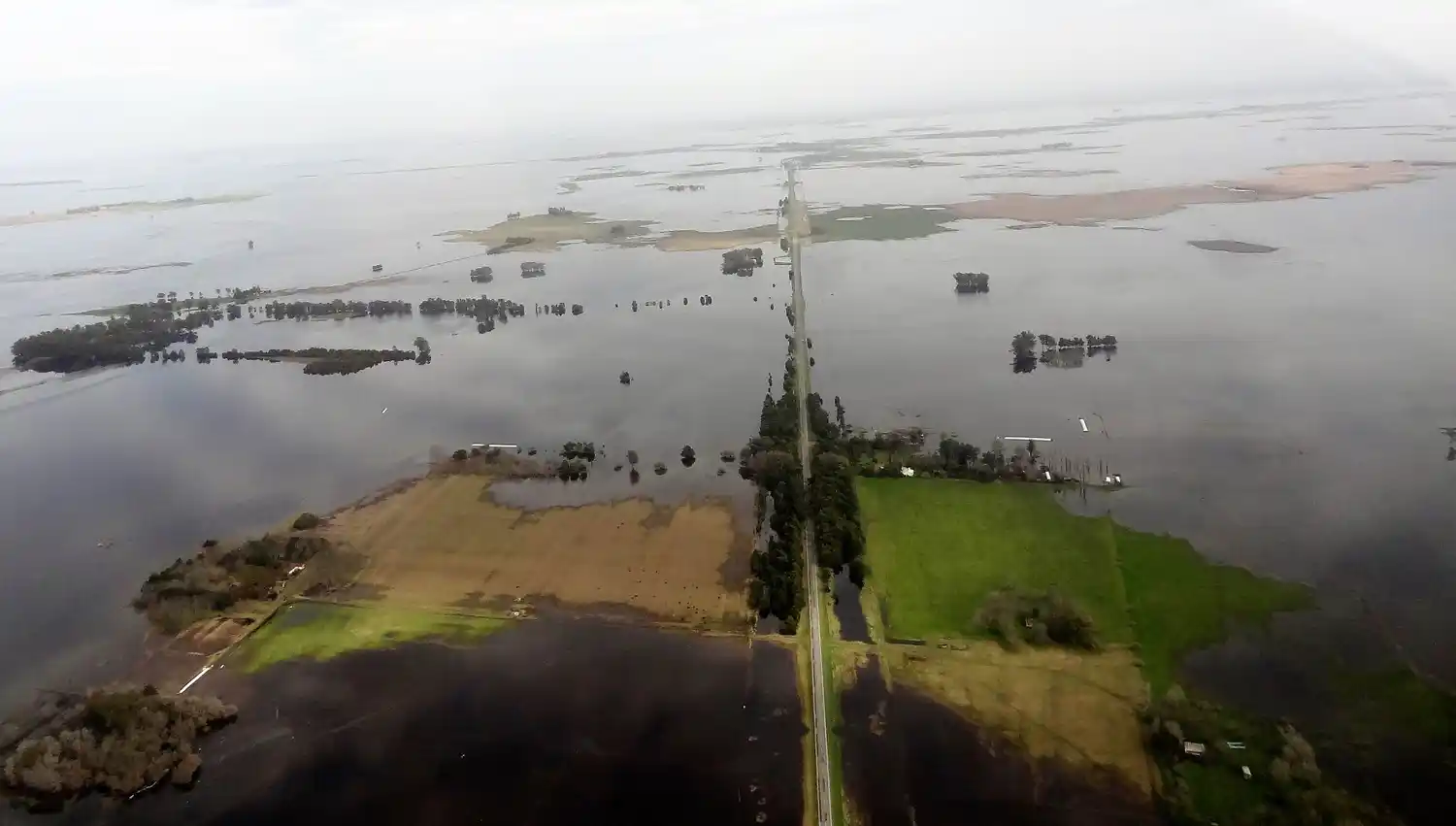 Nación declaró a diez municipios bonaerenses en emergencia agropecuaria