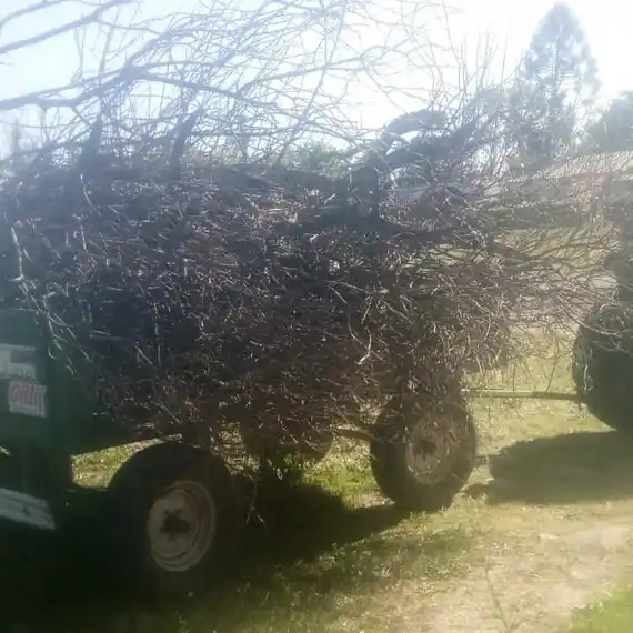 Mantenimiento y limpieza en Estación Lazo