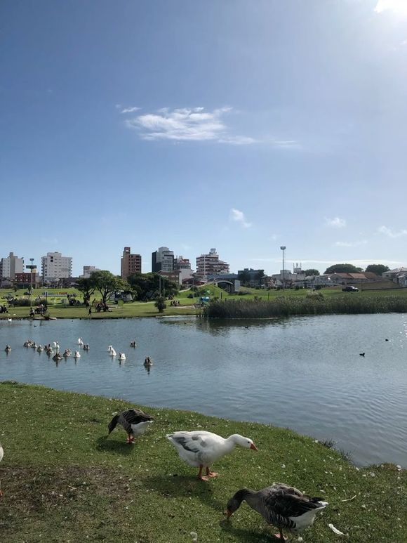 Cielo variable y clima fresco para este martes en Mar del Plata