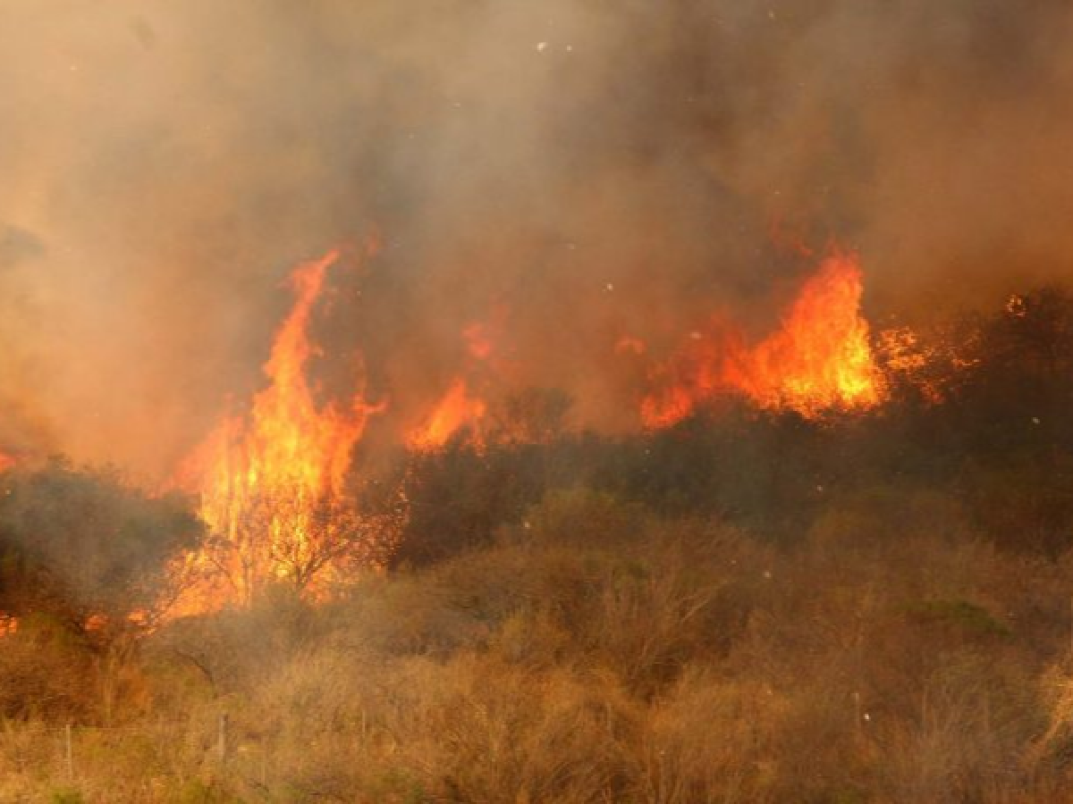 Hay riesgo extremo por incendios en las sierras cordobesas
